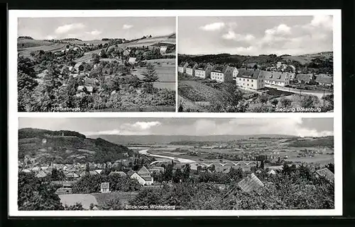 AK Vlotho an der Weser, Blick vom Winterberg auf den Ort, Höltkebruch, Siedlung Bökenburg