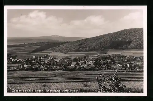 AK Zeppenfeld /Kreis Siegen, Teilansicht