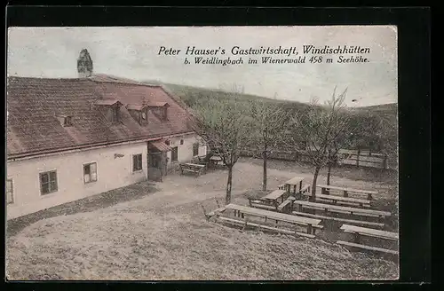 AK Weidlingbach, Windischhütten, Peter Hausers Gastwirtschaft bei Weidlingbach im Wiener Wald, mit Garten