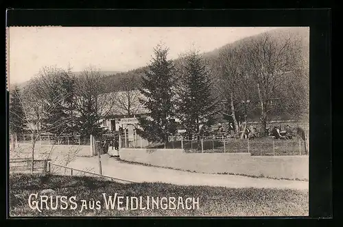 AK Weidlingbach, Gasthaus von Joh. Fenz