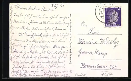 AK Schrems, Strassenpartie mit Gebäudeansicht