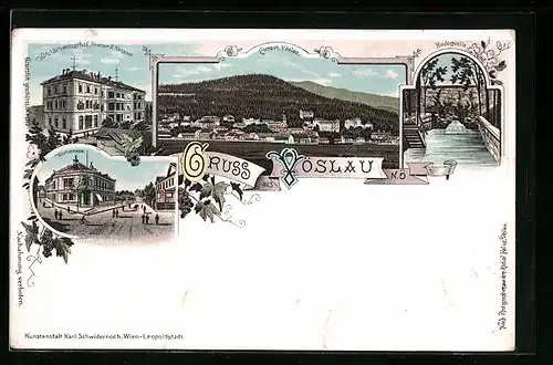 Lithographie Vöslau, Hotel Schweizerhof, Badequelle, Hochstrasse