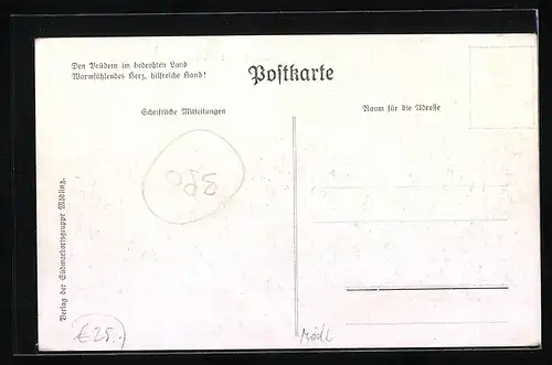 Künstler-AK Mödling, Südmark-Ortsgruppe, Adler auf einer Anhöhe bei der Stadt