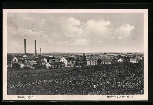 AK Hirm /Bgld., Hirmer Zuckerfabrik