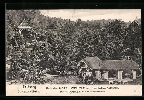 AK Triberg, Park des Hotel Wehrle mit Sporthalle-Autohalle