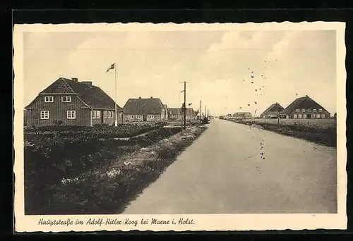 AK Marne /Holstein, Hauptstrasse im Koog