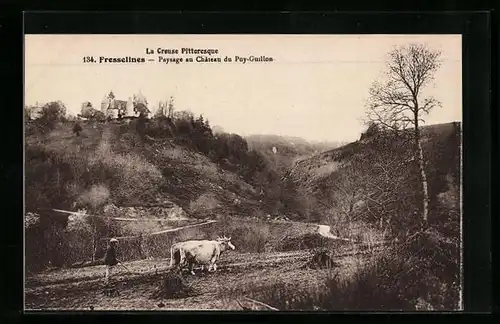 AK Fresselines, Paysage au Chateau du Puy-Guillon