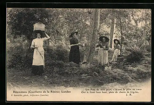 AK Landes, Résinières, Frauen gewinnen Harz im Wald, Forstwirtschaft