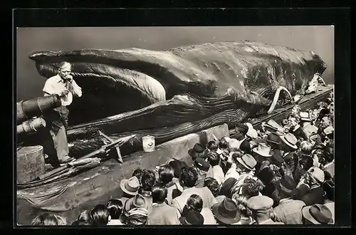 Foto-AK Der Wal Jonah, Walfang