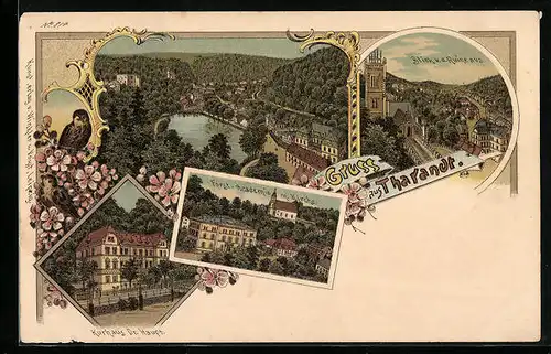 Lithographie Tharandt, Kurhaus Dr. Haupt, Forstacademie und Kirche, Ortsansicht