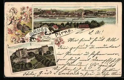 Lithographie Pirna, Ortsansicht mit Sonnenstein und Kirschblüten