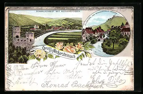 Lithographie Neckarsteinach, Schwalbennest, Dilsberg, Teilansicht