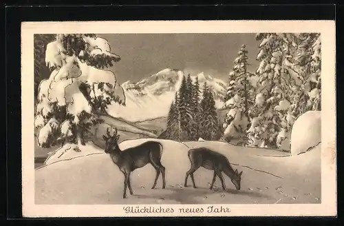 AK Landpoststempel Bortfeld über Braunschweig