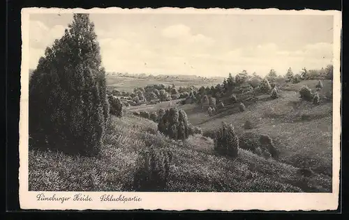 AK Landpoststempel Kakenstorf über Buchholz (Kr. Harburg)