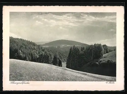 AK Landpoststempel Ruhestein über Freudenstadt