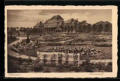 AK Uetersen, Rosenpark