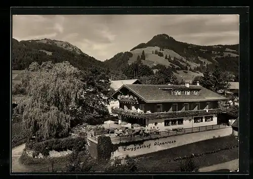 AK Obermaiselstein /Allgäu, Berggasthof Alpenrose