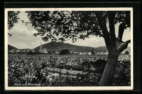 AK Rhodt an der Weinstrasse, Ortsansicht aus der Ferne