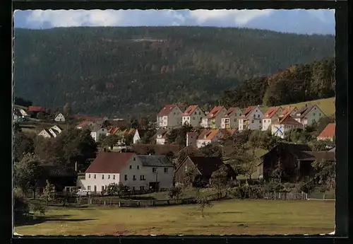 AK Friedenfels /Opf., Ortsansicht aus der Vogelschau