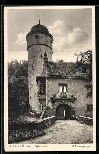 AK Mespelbrunn im Spessart, Schlosseingang