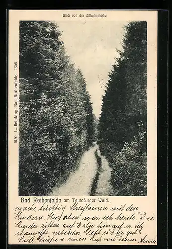 AK Bad Rothenfelde am Teutoburger Wald, Blick von der Wilhelmshöhe