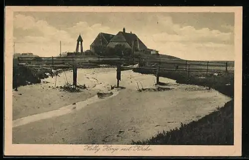 AK Hallig Hooge, Teilansicht mit Kirche