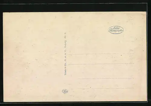 AK Zittau i. Sa., Neustadt mit Herculesbrunnen