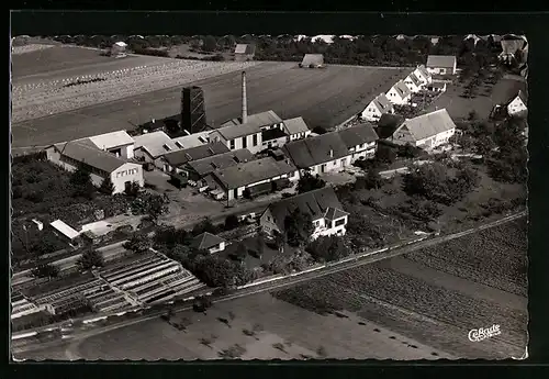 AK Bühlenhausen Krs. Ulm, Albi Obstsaftkelterei Hans Rösch & Co vom Flugzeug aus