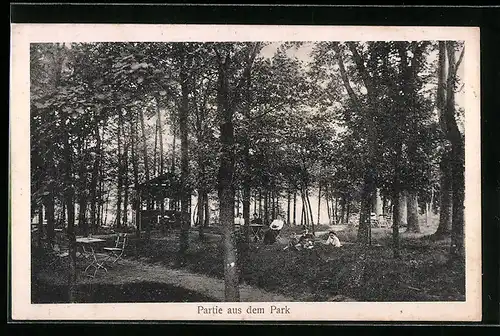 AK Müden /Kreis Celle, Gasthof zum Oertztal, Partie aus dem Park