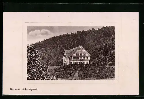 AK Schweigmatt, Kurhaus mit Wald