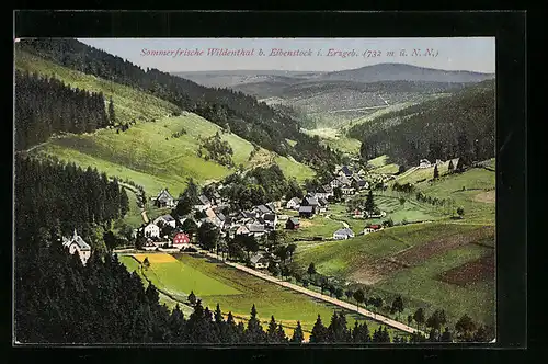 AK Wildenthal i. Erzgeb., Ortsansicht mit Bergen