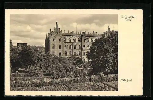 AK Trier, St. Josefstift im Sonnenlicht