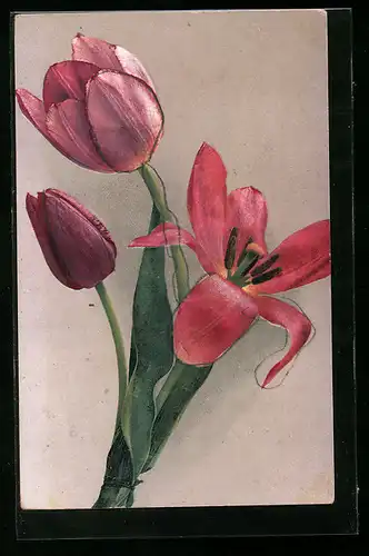Künstler-AK Photochromie Nr. 1147: Ein Bund Tulpen