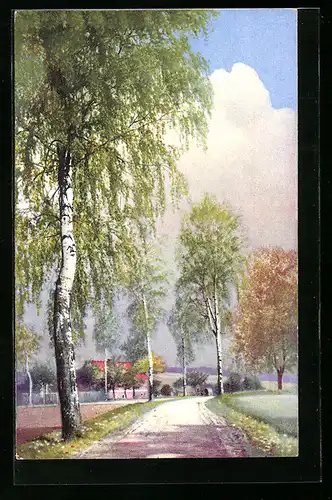 Künstler-AK Photochromie Nr. 4554: kleine Birken-Allee