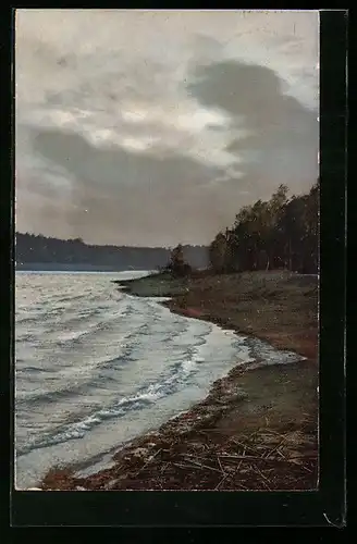 Künstler-AK Photochromie Nr. 2287: Unruhiges Gewässer