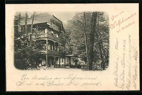 AK Heidelberg, Gasthaus Wolfsbrunnen