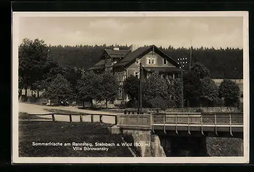 AK Steinbach a. Wald, Sommerfrische am Rennsteig mit Villa Borowansky