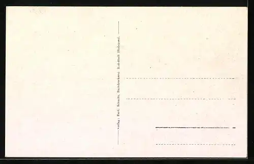 AK Radolfzell, Ortsansicht mit Umgebung und Bodensee