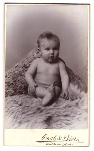 Fotografie Esch & Stein, Mülheim / Ruhr, Kettenbrückstr. 13, Portrait nacktes Baby sitzt auf Fell