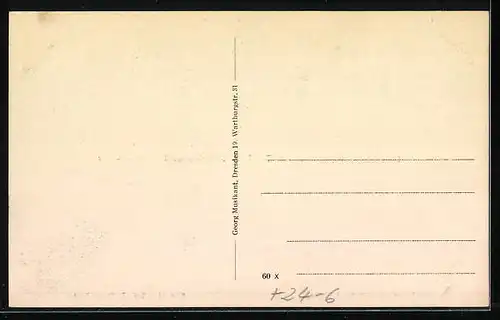 AK Berggiesshübel im Gottleubatal, Lindenallee, Bahnhof, Unwetterkatastrophe am 08.07.1927