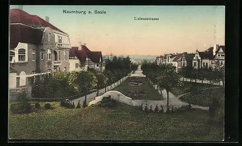 AK Naumburg a. d. Saale, Villen in der Luisenstrasse