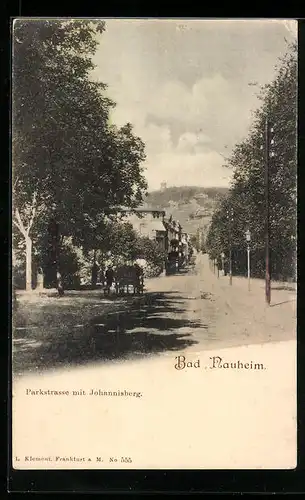 AK Bad Nauheim, Parkstrasse mit dem Johannisberg