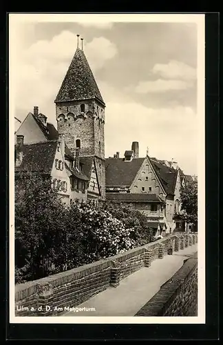 AK Ulm a. Donau, auf der Mauer vor dem Metzgerturm