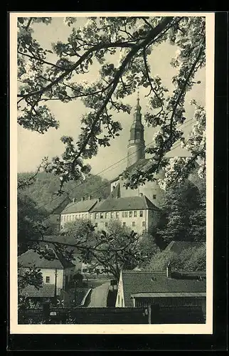 AK Müglitztal, Blick auf Schloss Weesenstein