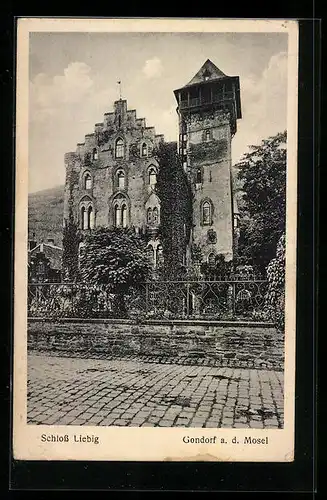 AK Gondorf a. d. Mosel, auf der Strasse vor dem Schloss Liebig
