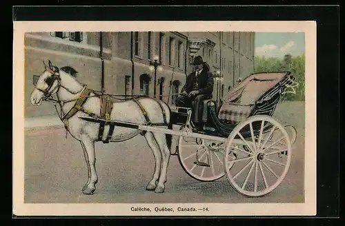 AK Québec, Mann auf einer Pferdekutsche mit weissem Pferd