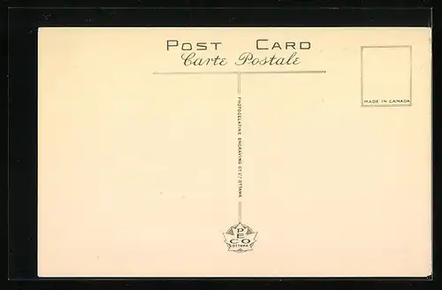 AK Québec, Mann auf einer Pferdekutsche mit weissem Pferd