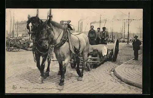 AK Anvers, Pferdegespann zieht flachen Wagen mit Fässern, Chevaux de Corporations