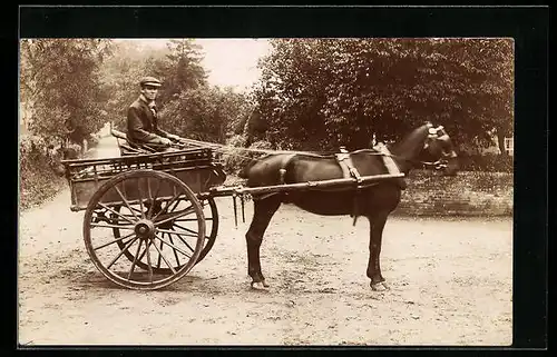 Foto-AK Besitzer auf seiner einspännigen Pferdekutsche