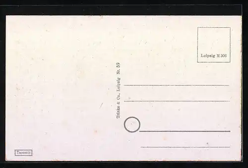 AK Torgau, Schloss Hartenfels, Markt, Strandbad